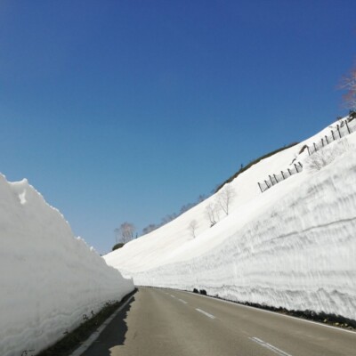 【道路情報】八幡平アスピーテライン開通